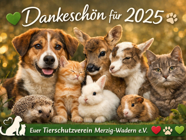 🐾💚 DANKE von Herzen – für ein gemeinsames Jahr 2025 💚🐾